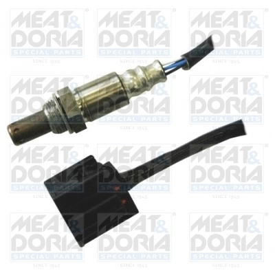 Oxygen Sensor